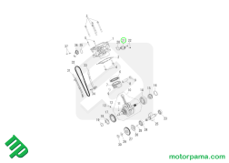 spaccato tenditore catena distribuzione access3